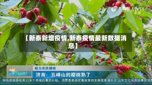 【新泰新增疫情,新泰疫情最新数据消息】-第3张图片