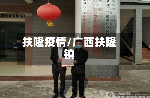 扶隆疫情/广西扶隆镇-第2张图片