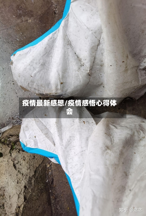 疫情最新感想/疫情感悟心得体会