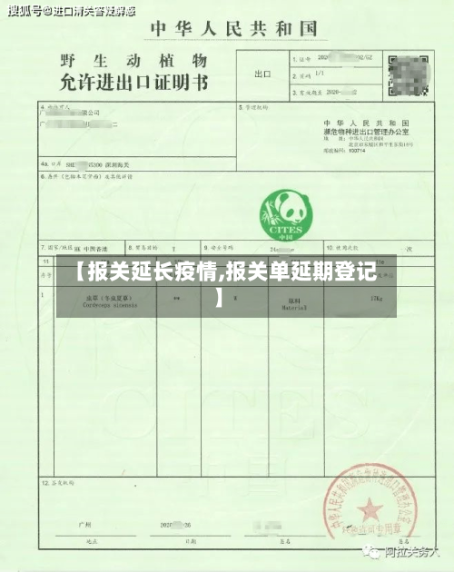 【报关延长疫情,报关单延期登记】-第3张图片