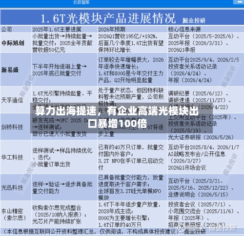 算力出海提速，有企业高端光模块出口暴增100倍