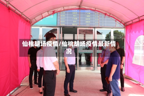 仙桃胡场疫情/仙桃胡场疫情最新情况-第3张图片