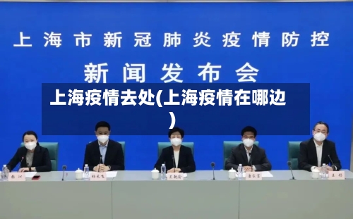 上海疫情去处(上海疫情在哪边)